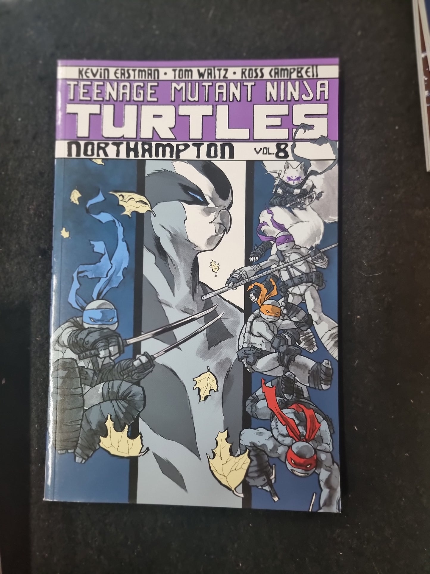 TEENAGE MUTANT NINJA TURTLES NORTHAMPTON VOL 8 – Captain Comics and ...