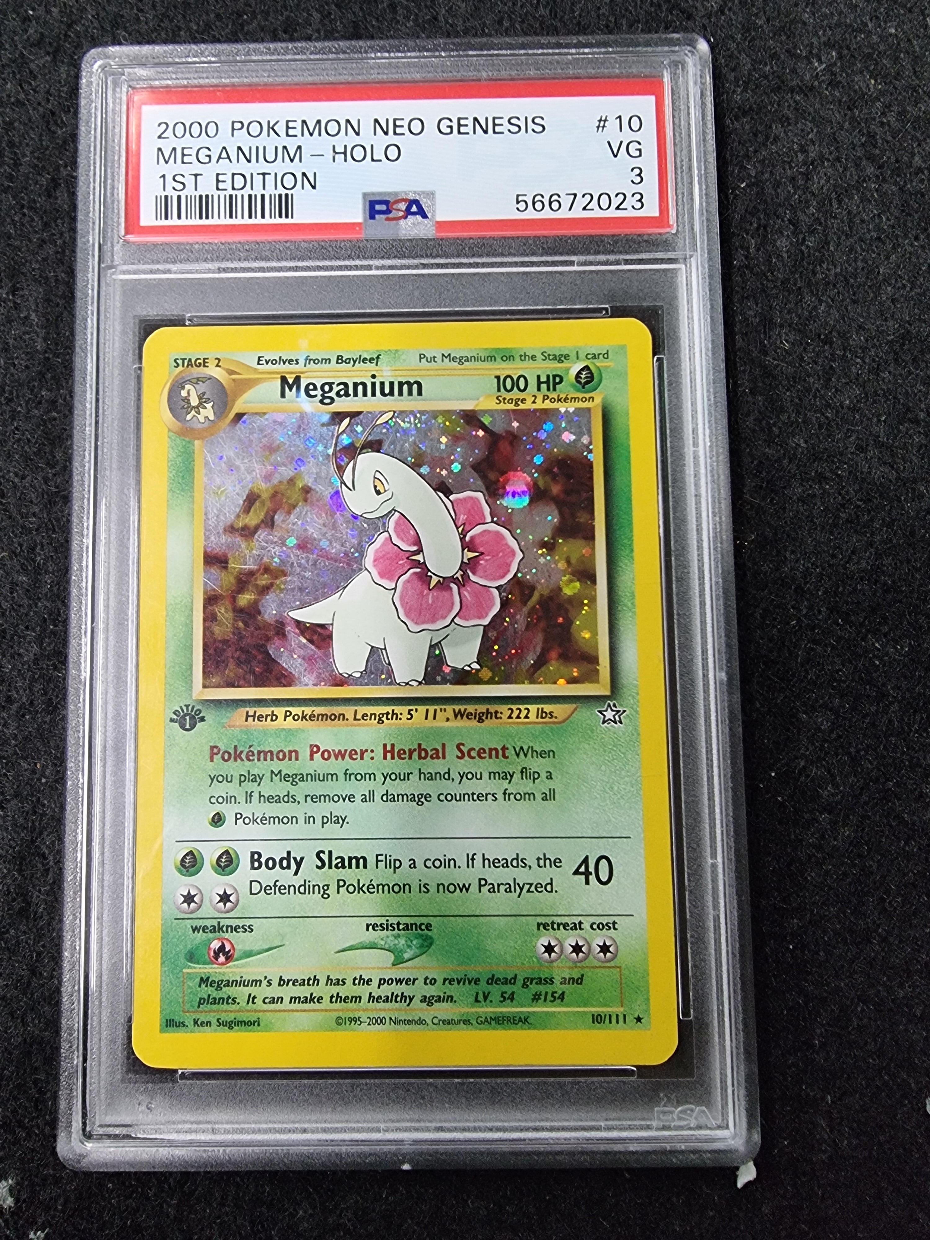 Pokemon offers 1st edition meganium holo neo genisis