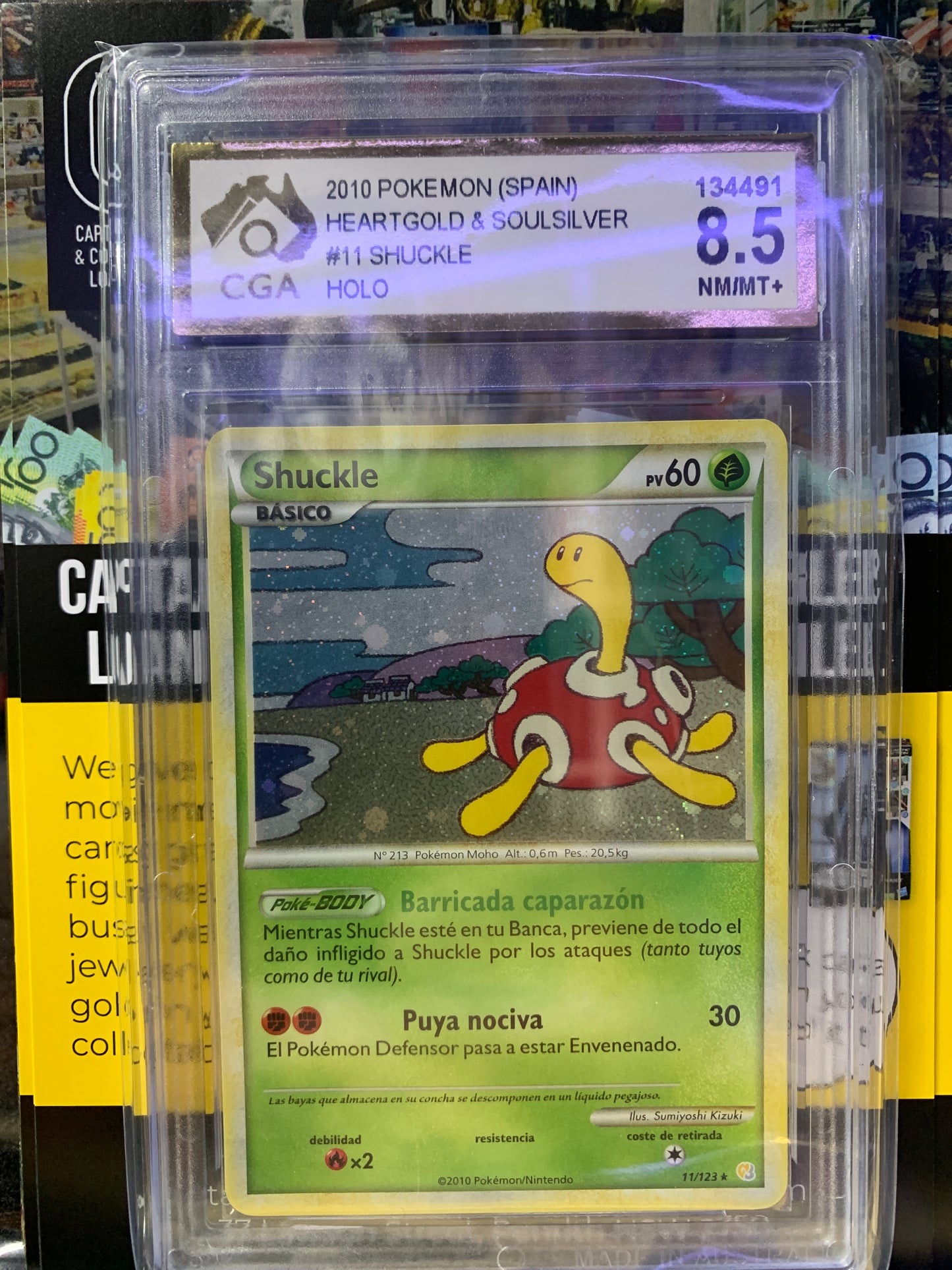 Pokémon shuckle graded card