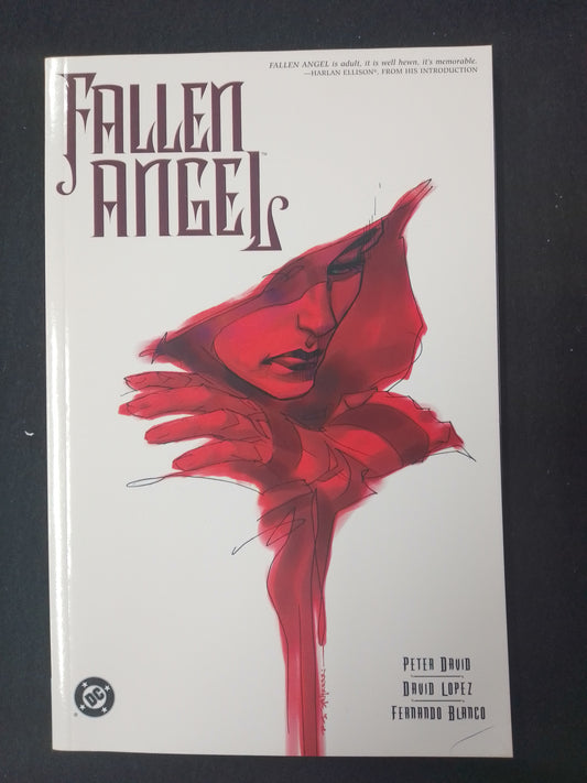 Fallen Angel #1 - DC Comics Graphic Novel - N07812