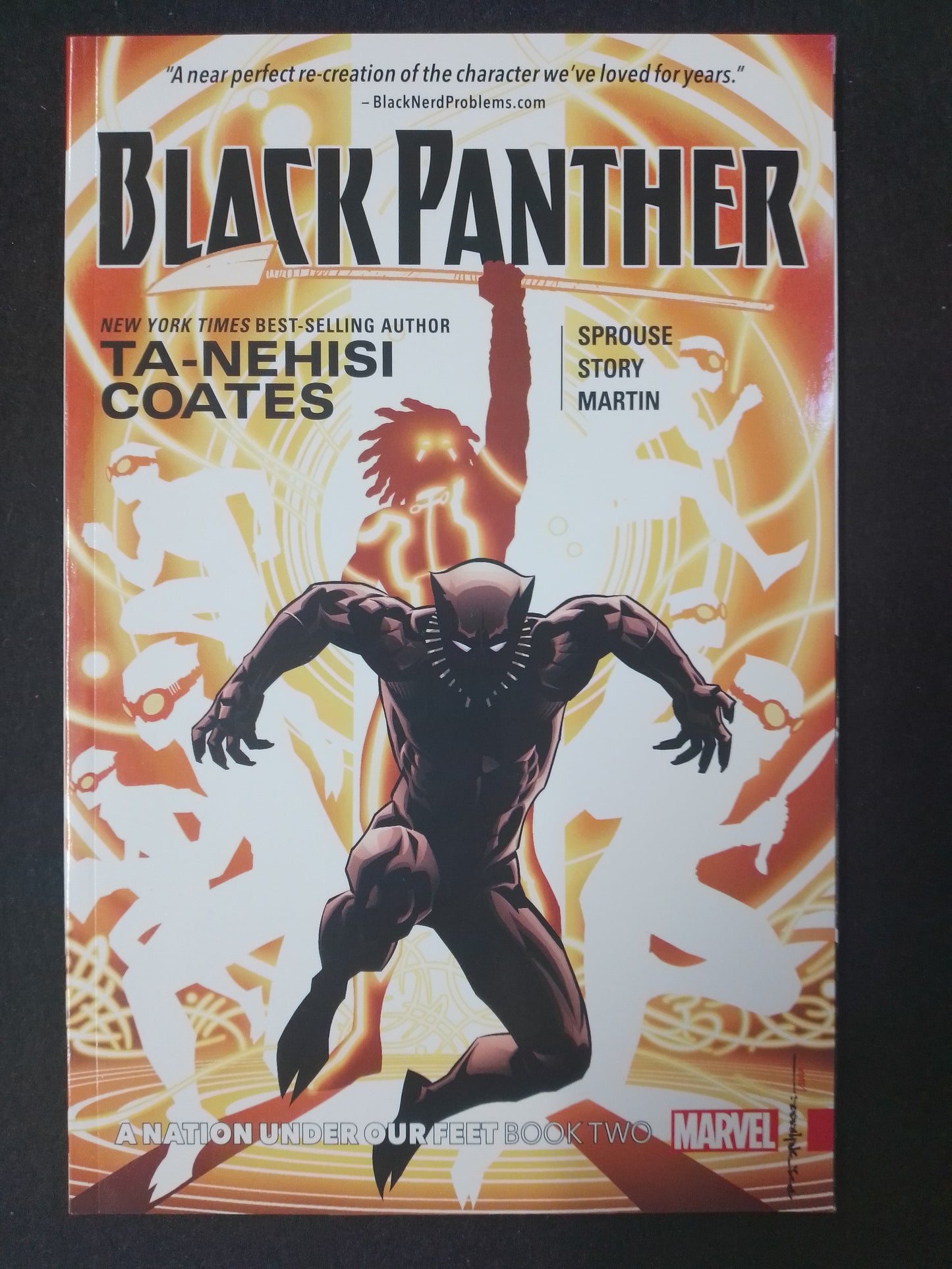 Black Panther - A Nation Under Our Feet #2 Marvel Graphic Novel - N07821