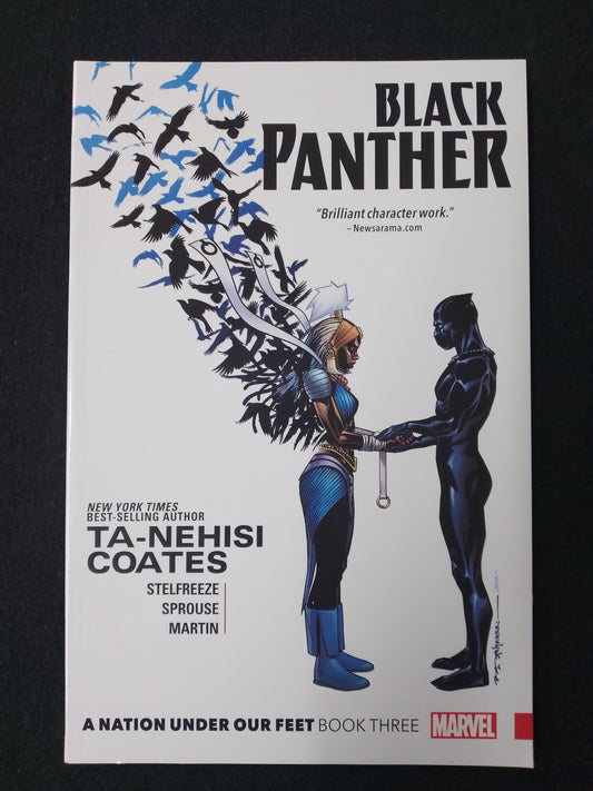 Black Panther - A Nation Under Our Feet Book 3 Graphic Novel - N07849