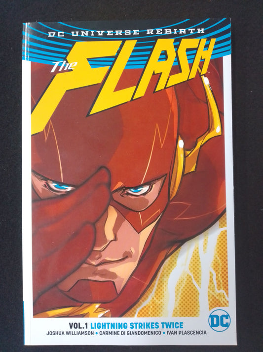 DC The Flash Lightning Strikes Twice Vol 1 Graphic Novel - N08706