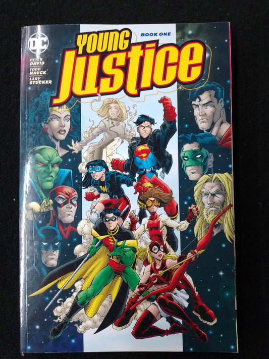 DC Comics - Young Justice Book 1 Graphic Novel By David, Nauck, Stucker - N09438