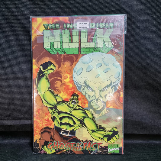 INCREDIBLE HULK GHOST OF THE PAST  TPB Peter David OOP 1996 