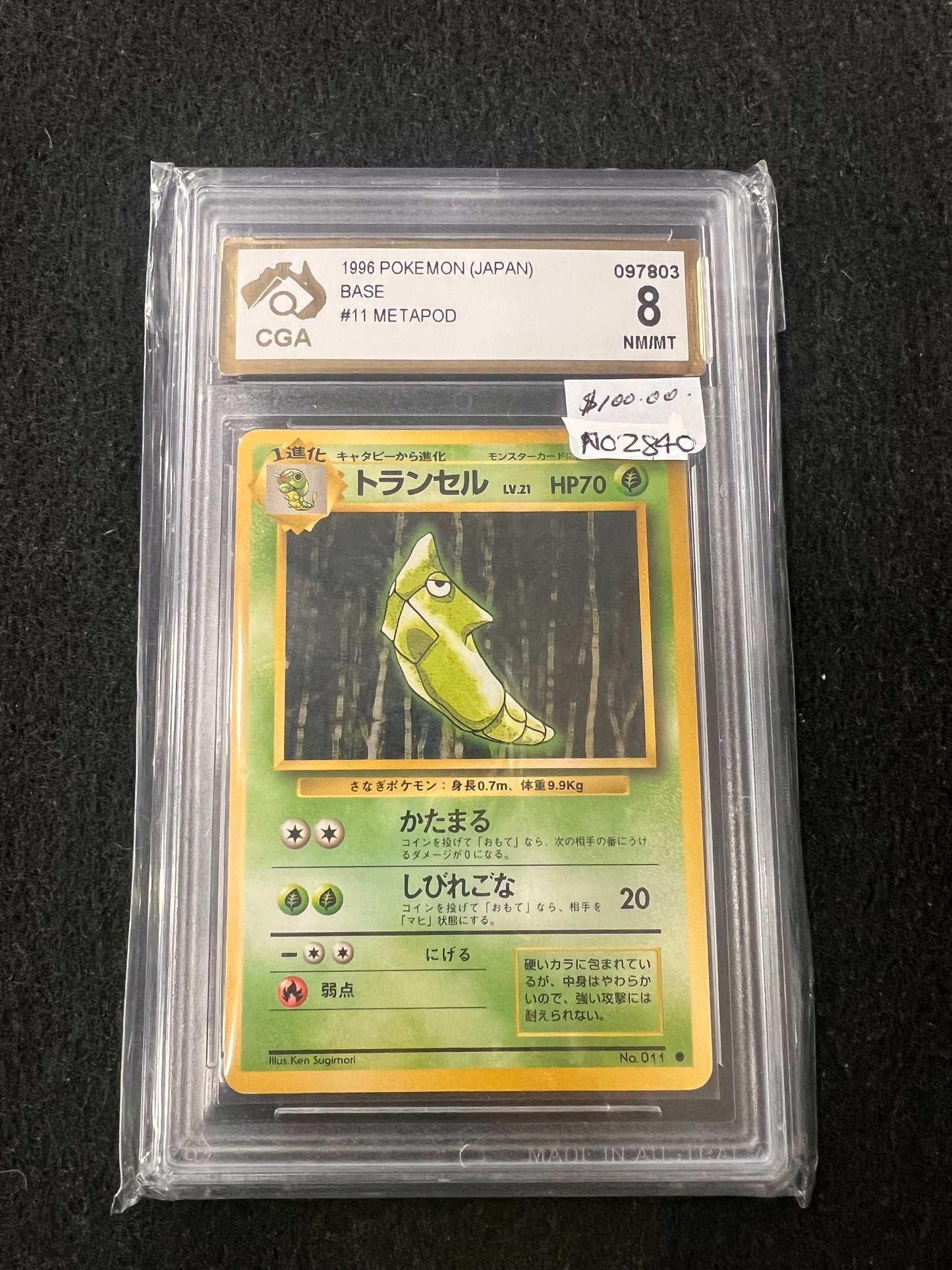 METAPOD Base Set - Japan  Pokemon Card 8 NM/MINT